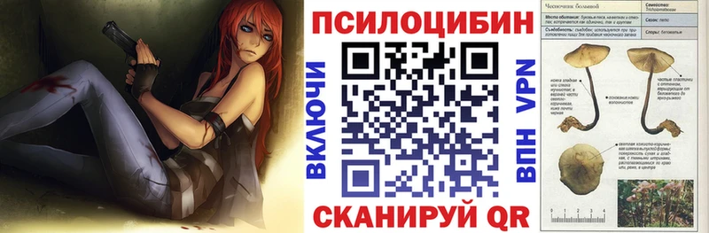 Купить закладки  Адыгейск  Псилоцибиновые грибы GOLDEN TEACHER 